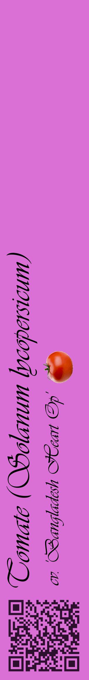 Étiquette de : Solanum lycopersicum cv. 'Bangladesh Heart Op' - format c - style noire52_basiqueviv avec qrcode et comestibilité simplifiée