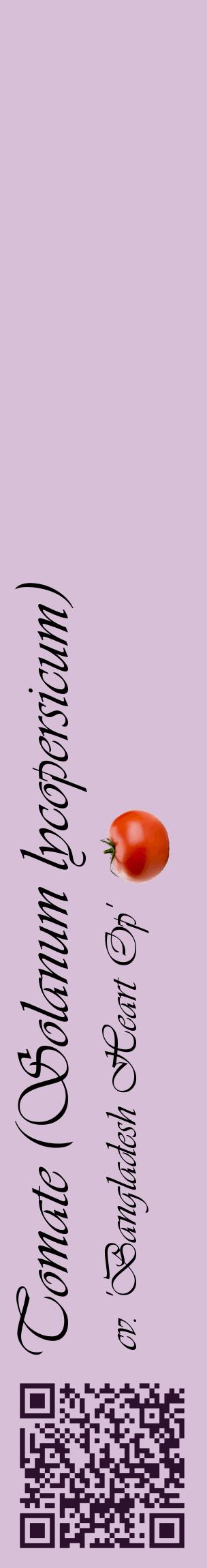 Étiquette de : Solanum lycopersicum cv. 'Bangladesh Heart Op' - format c - style noire54_basiqueviv avec qrcode et comestibilité simplifiée