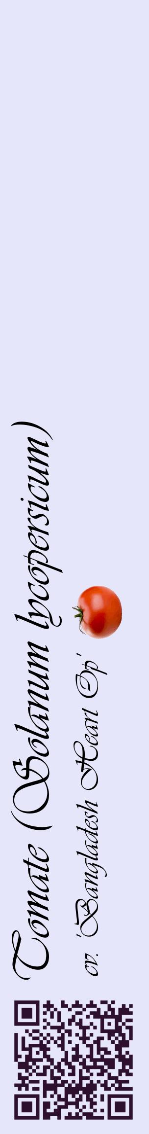 Étiquette de : Solanum lycopersicum cv. 'Bangladesh Heart Op' - format c - style noire55_basiqueviv avec qrcode et comestibilité simplifiée