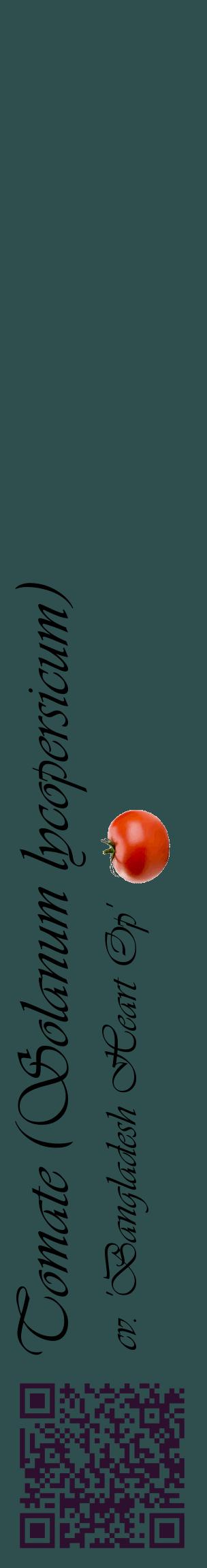 Étiquette de : Solanum lycopersicum cv. 'Bangladesh Heart Op' - format c - style noire58_basiqueviv avec qrcode et comestibilité simplifiée