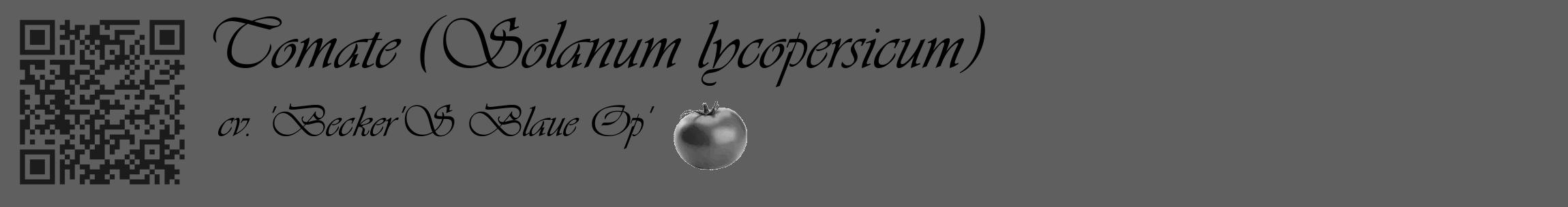 Étiquette de : Solanum lycopersicum cv. 'Becker'S Blaue Op' - format c - style noire10_basique_basiqueviv avec qrcode et comestibilité simplifiée