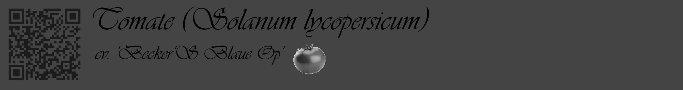 Étiquette de : Solanum lycopersicum cv. 'Becker'S Blaue Op' - format c - style noire48basique_basique_basiqueviv avec qrcode et comestibilité simplifiée