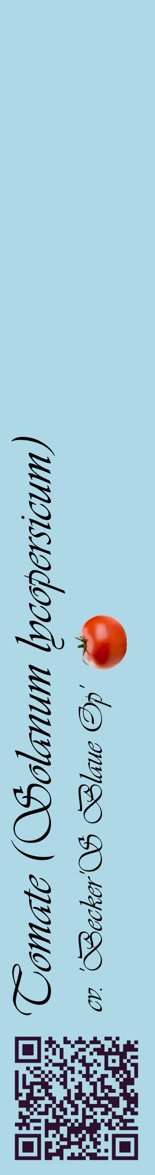 Étiquette de : Solanum lycopersicum cv. 'Becker'S Blaue Op' - format c - style noire0_basiqueviv avec qrcode et comestibilité simplifiée