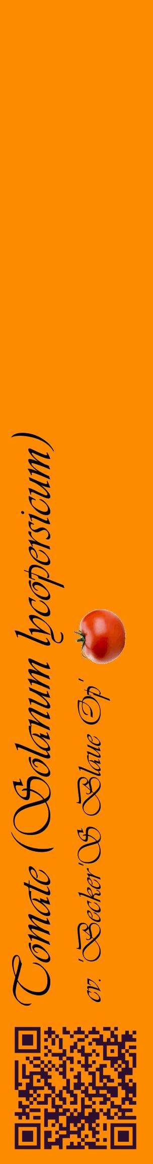 Étiquette de : Solanum lycopersicum cv. 'Becker'S Blaue Op' - format c - style noire23_basiqueviv avec qrcode et comestibilité simplifiée