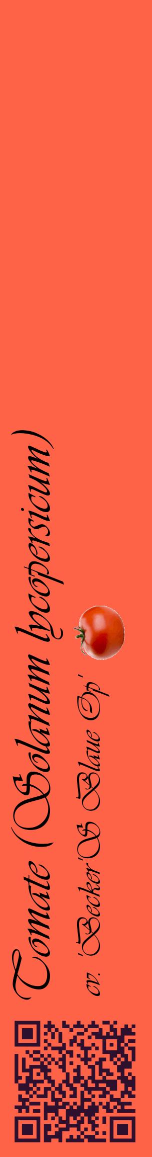 Étiquette de : Solanum lycopersicum cv. 'Becker'S Blaue Op' - format c - style noire25_basiqueviv avec qrcode et comestibilité simplifiée