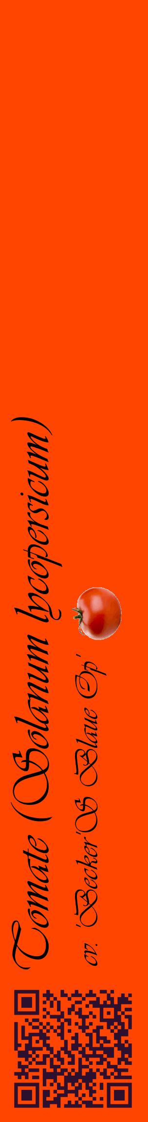 Étiquette de : Solanum lycopersicum cv. 'Becker'S Blaue Op' - format c - style noire26_basiqueviv avec qrcode et comestibilité simplifiée