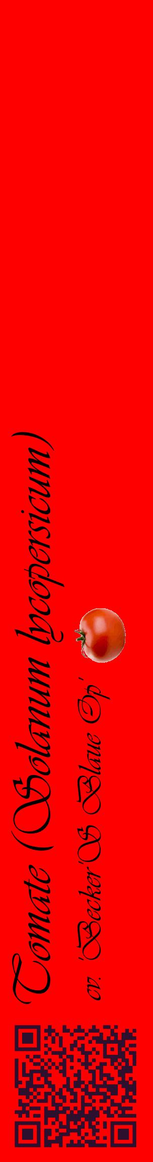 Étiquette de : Solanum lycopersicum cv. 'Becker'S Blaue Op' - format c - style noire27_basiqueviv avec qrcode et comestibilité simplifiée