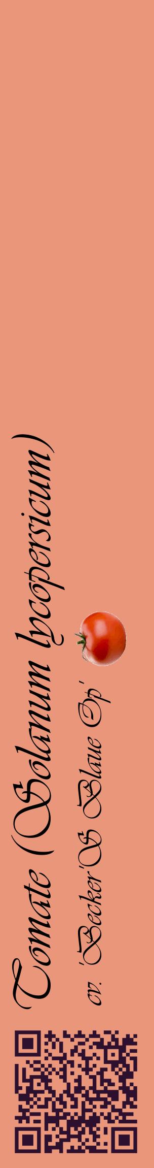 Étiquette de : Solanum lycopersicum cv. 'Becker'S Blaue Op' - format c - style noire37_basiqueviv avec qrcode et comestibilité simplifiée