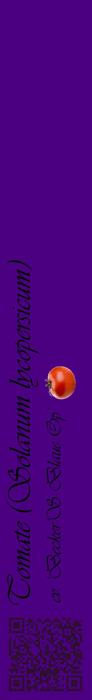 Étiquette de : Solanum lycopersicum cv. 'Becker'S Blaue Op' - format c - style noire47_basiqueviv avec qrcode et comestibilité simplifiée
