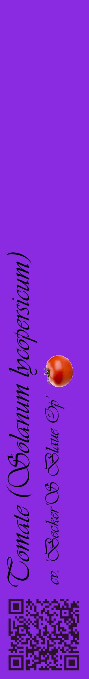 Étiquette de : Solanum lycopersicum cv. 'Becker'S Blaue Op' - format c - style noire49_basiqueviv avec qrcode et comestibilité simplifiée