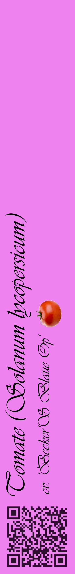 Étiquette de : Solanum lycopersicum cv. 'Becker'S Blaue Op' - format c - style noire53_basiqueviv avec qrcode et comestibilité simplifiée