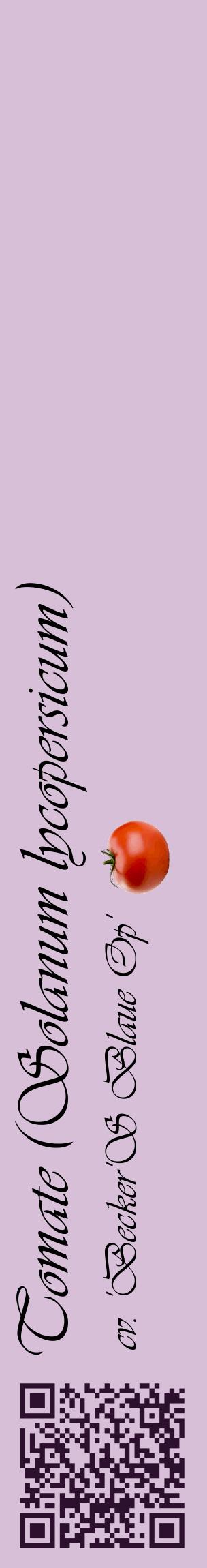 Étiquette de : Solanum lycopersicum cv. 'Becker'S Blaue Op' - format c - style noire54_basiqueviv avec qrcode et comestibilité simplifiée