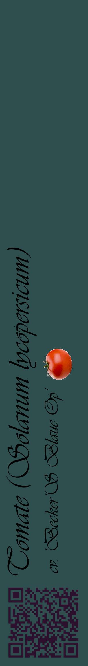 Étiquette de : Solanum lycopersicum cv. 'Becker'S Blaue Op' - format c - style noire58_basiqueviv avec qrcode et comestibilité simplifiée