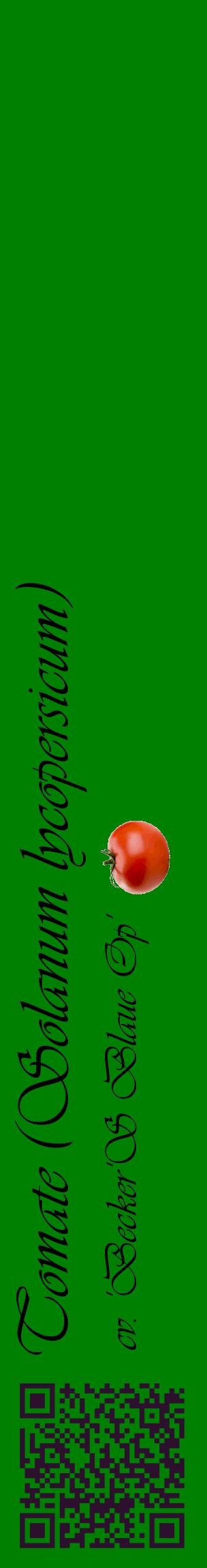 Étiquette de : Solanum lycopersicum cv. 'Becker'S Blaue Op' - format c - style noire9_basiqueviv avec qrcode et comestibilité simplifiée