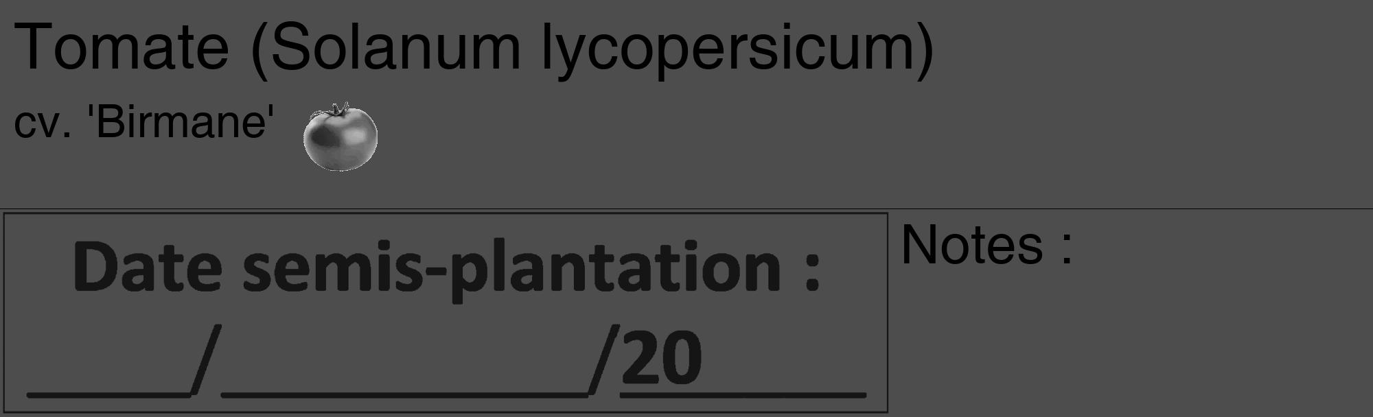 Étiquette de : Solanum lycopersicum cv. 'Birmane' - format c - style noire28_basique_basiquehel avec comestibilité simplifiée