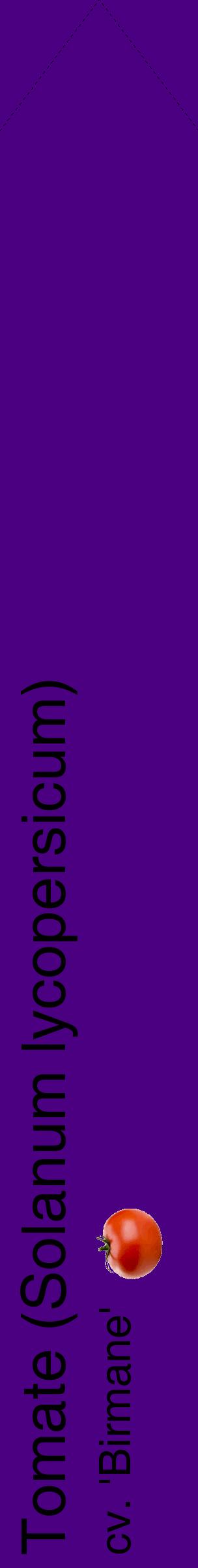 Étiquette de : Solanum lycopersicum cv. 'Birmane' - format c - style noire47_simplehel avec comestibilité simplifiée