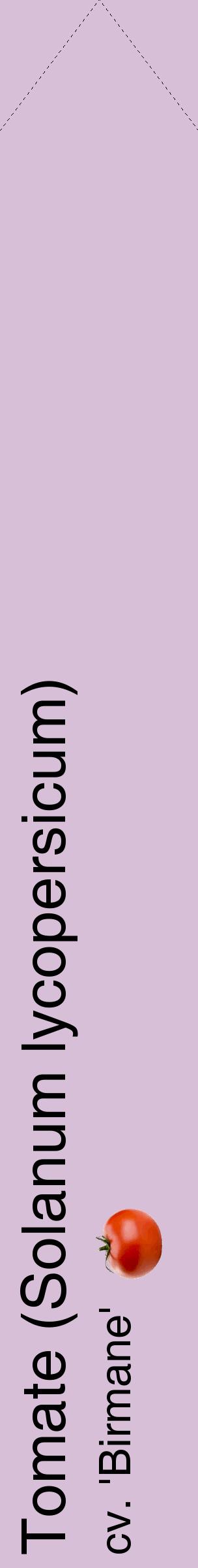Étiquette de : Solanum lycopersicum cv. 'Birmane' - format c - style noire54_simplehel avec comestibilité simplifiée