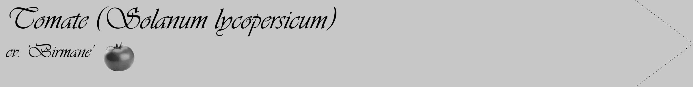 Étiquette de : Solanum lycopersicum cv. 'Birmane' - format c - style noire15_simple_simpleviv avec comestibilité simplifiée
