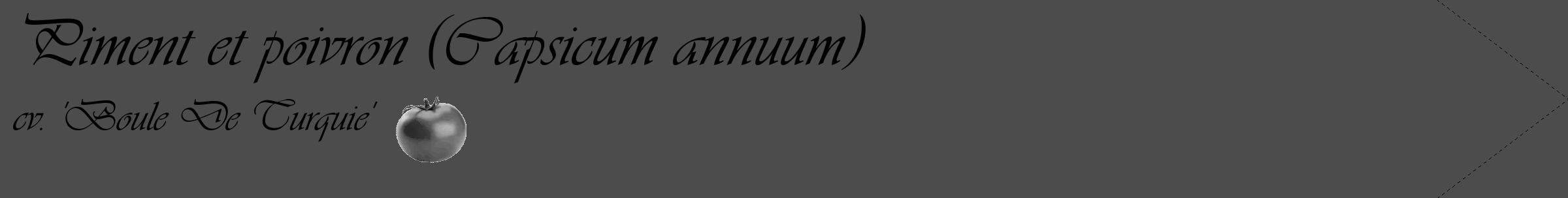 Étiquette de : Capsicum annuum cv. 'Boule De Turquie' - format c - style noire27_simple_simpleviv avec comestibilité simplifiée