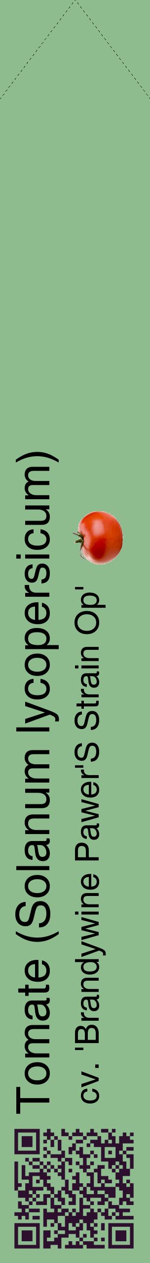 Étiquette de : Solanum lycopersicum cv. 'Brandywine Pawer'S Strain Op' - format c - style noire13_simplehel avec qrcode et comestibilité simplifiée