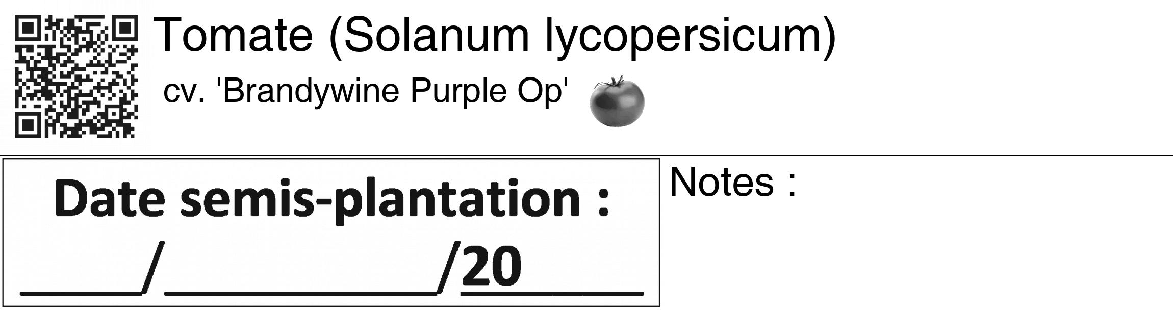 Étiquette de : Solanum lycopersicum cv. 'Brandywine Purple Op' - format c - style noire60_basiquegrrvhel avec qrcode et comestibilité simplifiée
