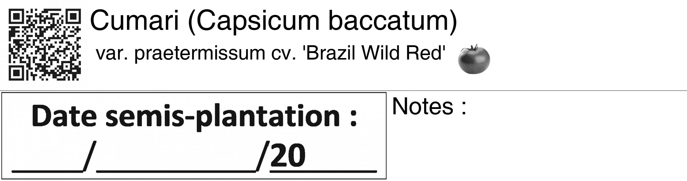 Étiquette de : Capsicum baccatum var. praetermissum cv. 'Brazil Wild Red' - format c - style noire60_basiquegrrvhel avec qrcode et comestibilité simplifiée