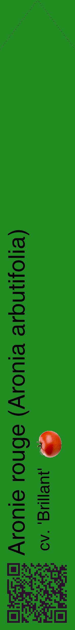Étiquette de : Aronia arbutifolia cv. 'Brillant' - format c - style noire10_simplehel avec qrcode et comestibilité simplifiée