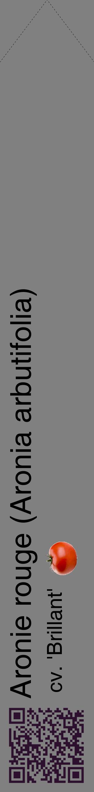 Étiquette de : Aronia arbutifolia cv. 'Brillant' - format c - style noire57_simplehel avec qrcode et comestibilité simplifiée