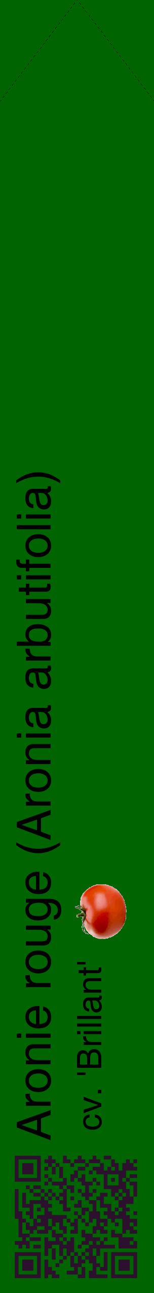 Étiquette de : Aronia arbutifolia cv. 'Brillant' - format c - style noire8_simplehel avec qrcode et comestibilité simplifiée