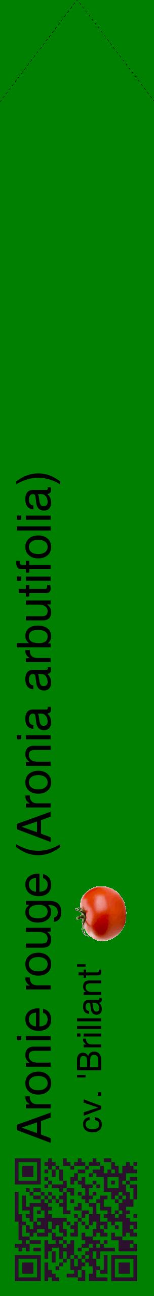 Étiquette de : Aronia arbutifolia cv. 'Brillant' - format c - style noire9_simplehel avec qrcode et comestibilité simplifiée