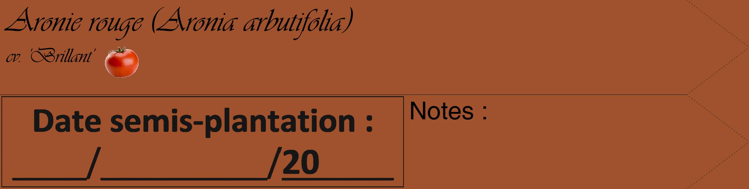 Étiquette de : Aronia arbutifolia cv. 'Brillant' - format c - style noire32_simple_simpleviv avec comestibilité simplifiée