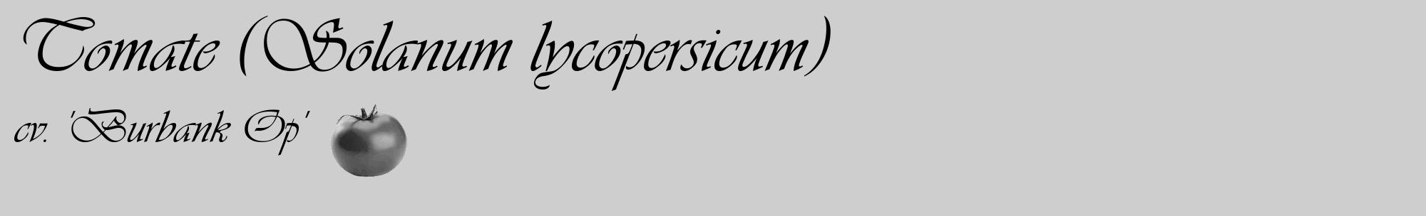 Étiquette de : Solanum lycopersicum cv. 'Burbank Op' - format c - style noire17_basique_basiqueviv avec comestibilité simplifiée