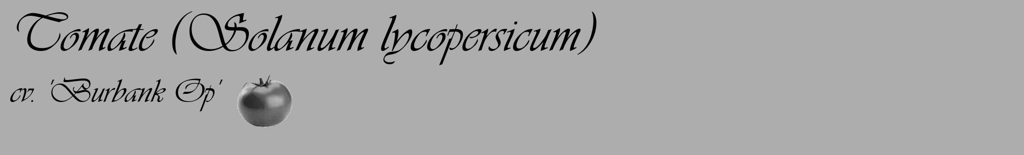 Étiquette de : Solanum lycopersicum cv. 'Burbank Op' - format c - style noire22_basique_basiqueviv avec comestibilité simplifiée