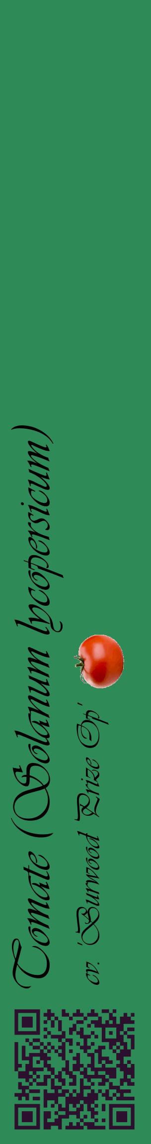 Étiquette de : Solanum lycopersicum cv. 'Burwood Prize Op' - format c - style noire11_basiqueviv avec qrcode et comestibilité simplifiée