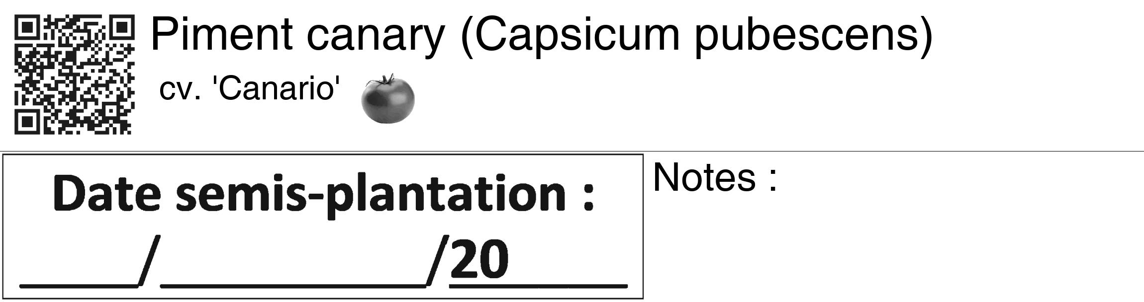Étiquette de : Capsicum pubescens cv. 'Canario' - format c - style noire60_basiquegrrvhel avec qrcode et comestibilité simplifiée