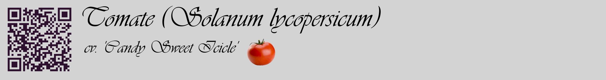 Étiquette de : Solanum lycopersicum cv. 'Candy Sweet Icicle' - format c - style noire56basique_basique_basiqueviv avec qrcode et comestibilité simplifiée