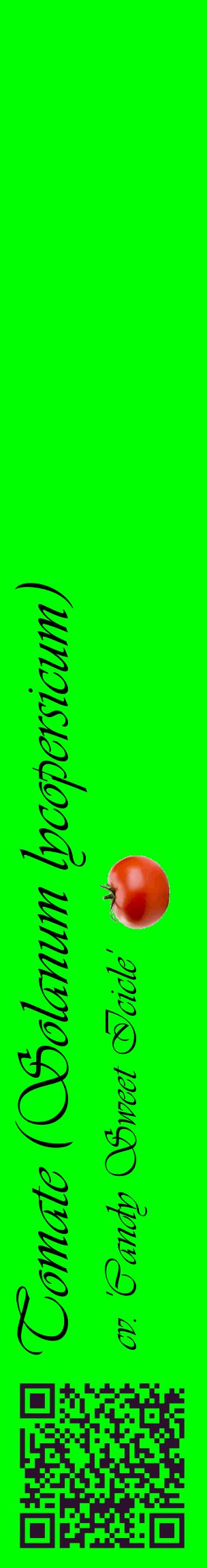 Étiquette de : Solanum lycopersicum cv. 'Candy Sweet Icicle' - format c - style noire16_basiqueviv avec qrcode et comestibilité simplifiée