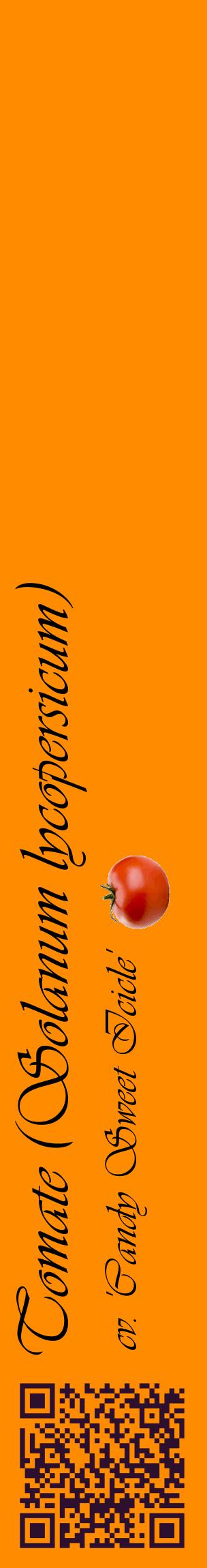 Étiquette de : Solanum lycopersicum cv. 'Candy Sweet Icicle' - format c - style noire23_basiqueviv avec qrcode et comestibilité simplifiée