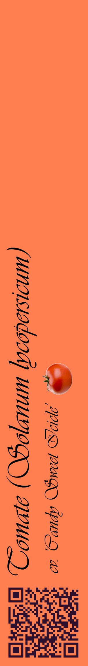 Étiquette de : Solanum lycopersicum cv. 'Candy Sweet Icicle' - format c - style noire24_basiqueviv avec qrcode et comestibilité simplifiée