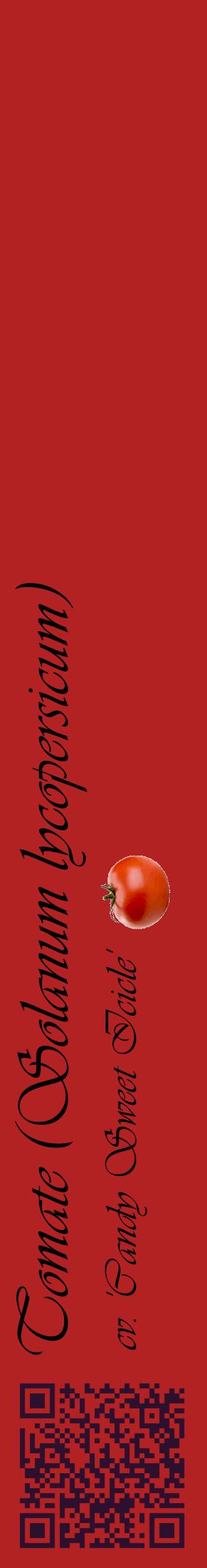 Étiquette de : Solanum lycopersicum cv. 'Candy Sweet Icicle' - format c - style noire28_basiqueviv avec qrcode et comestibilité simplifiée