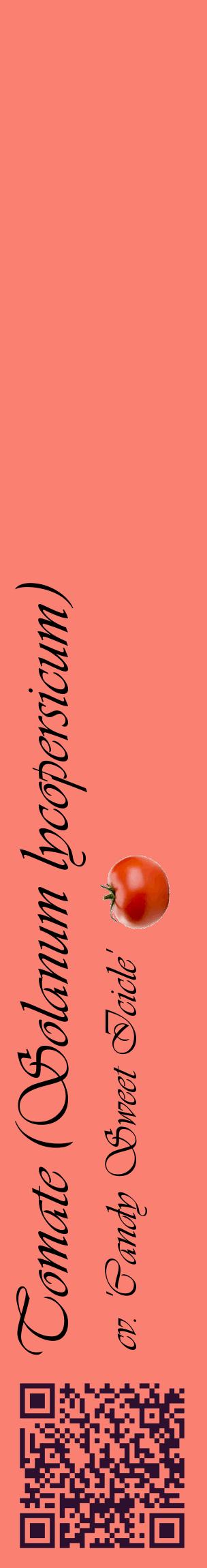 Étiquette de : Solanum lycopersicum cv. 'Candy Sweet Icicle' - format c - style noire38_basiqueviv avec qrcode et comestibilité simplifiée