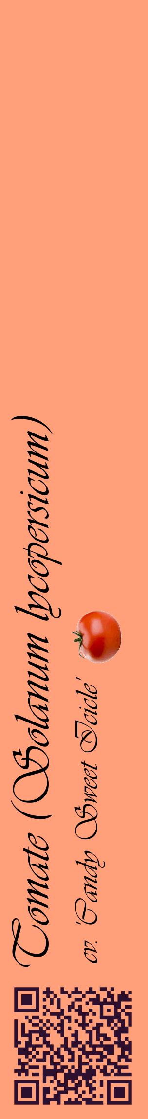Étiquette de : Solanum lycopersicum cv. 'Candy Sweet Icicle' - format c - style noire39_basiqueviv avec qrcode et comestibilité simplifiée