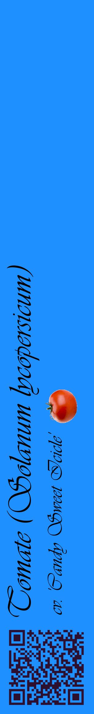 Étiquette de : Solanum lycopersicum cv. 'Candy Sweet Icicle' - format c - style noire3_basiqueviv avec qrcode et comestibilité simplifiée