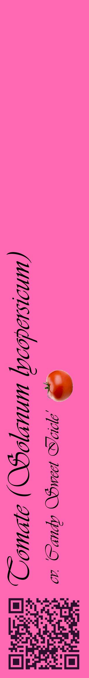 Étiquette de : Solanum lycopersicum cv. 'Candy Sweet Icicle' - format c - style noire42_basiqueviv avec qrcode et comestibilité simplifiée
