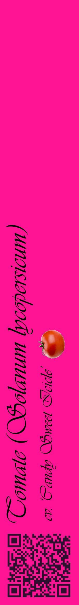 Étiquette de : Solanum lycopersicum cv. 'Candy Sweet Icicle' - format c - style noire43_basiqueviv avec qrcode et comestibilité simplifiée