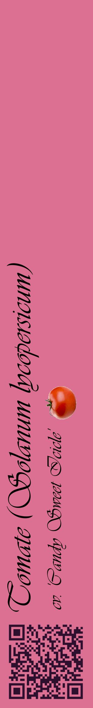 Étiquette de : Solanum lycopersicum cv. 'Candy Sweet Icicle' - format c - style noire44_basiqueviv avec qrcode et comestibilité simplifiée