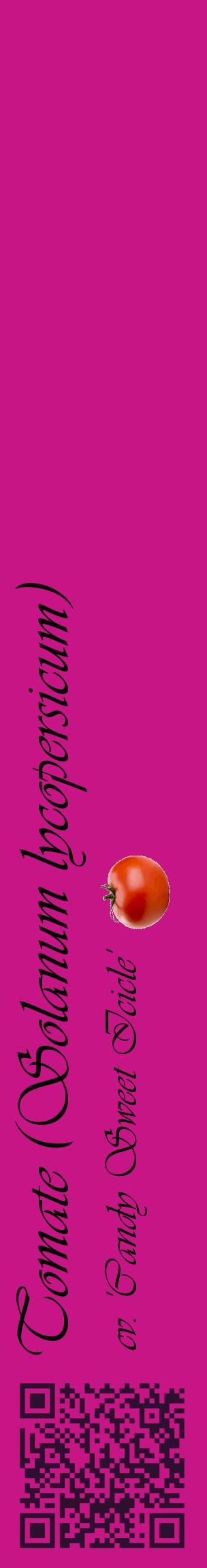 Étiquette de : Solanum lycopersicum cv. 'Candy Sweet Icicle' - format c - style noire45_basiqueviv avec qrcode et comestibilité simplifiée