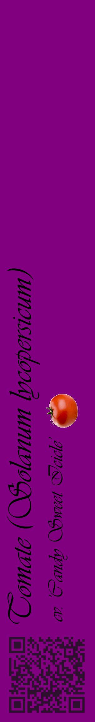 Étiquette de : Solanum lycopersicum cv. 'Candy Sweet Icicle' - format c - style noire46_basiqueviv avec qrcode et comestibilité simplifiée