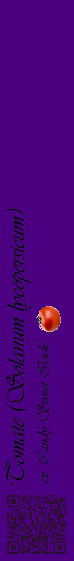 Étiquette de : Solanum lycopersicum cv. 'Candy Sweet Icicle' - format c - style noire47_basiqueviv avec qrcode et comestibilité simplifiée