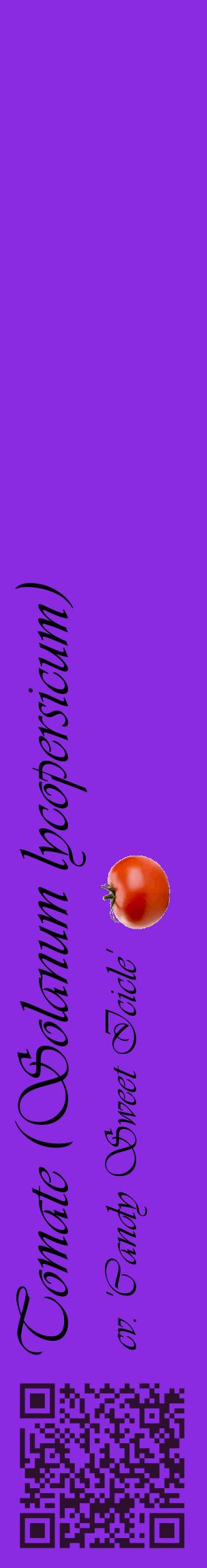 Étiquette de : Solanum lycopersicum cv. 'Candy Sweet Icicle' - format c - style noire49_basiqueviv avec qrcode et comestibilité simplifiée